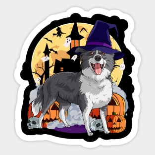 Border Collie Scary Halloween Witch Pumpkin Sticker